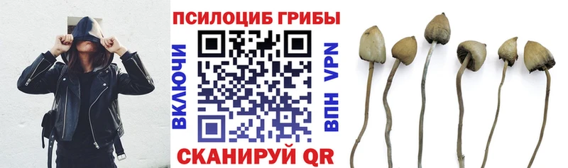 mega как войти  купить закладку  Рыбинск  Псилоцибиновые грибы Magic Shrooms 